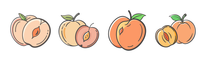 Hand-drawn peachy fruit illustrations with leaves and pits, isolated on white.
