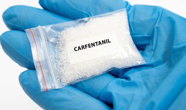 Carfentanil Also Elephant Tranquilizer