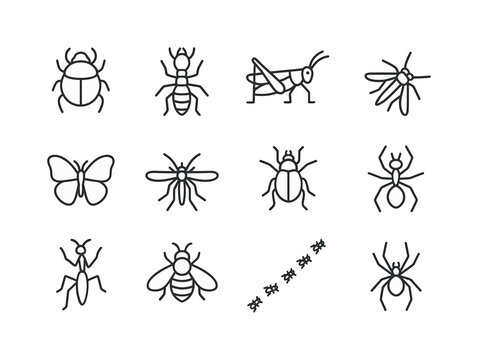 Savanna Insect Icons. Savanna Insects. Line icon set of Savanna Insects: dung beetle, termite, grasshopper, butterfly, mosquito, dragonfly, praying mantis,