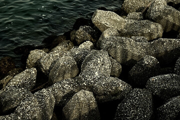 テトラポッドと海