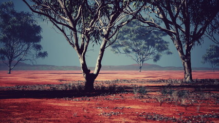 Fototapeta premium A stunning red earth landscape stretches out under the evening sky. Tall trees stand scattered, casting shadows as dusk settles over the serene environment, creating a peaceful atmosphere.