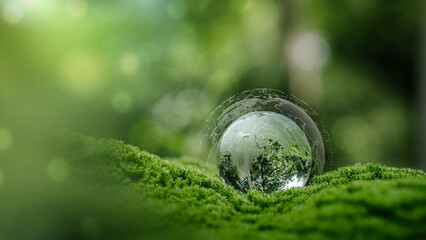 Crystal globe glass on green in forest for sustainability environmental, clean energy, and eco-friendly. Green business. carbon reduction to net zero. World Earth Day, and ESG concept. © Anon