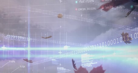 Animation of financial data processing over electric cloudy sky - Powered by Adobe