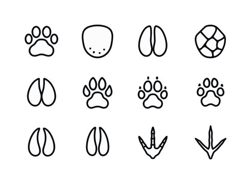 Savanna Animal Tracks Icons. Savanna Animal Tracks. Line icon set of Savanna Animal Tracks: lion paw, elephant footprint, zebra hoof, giraffe print, rhino