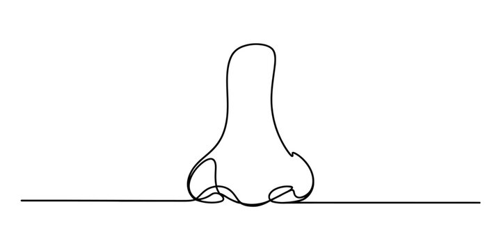 Continuous line art drawing of a human nose on a clean white background, representing the sense of smell