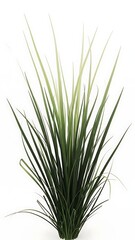 Naklejka premium Green Grass Plant Artificial Decoration Indoor Outdoor Home