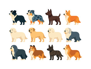 Fototapeta premium Farm Dog Vector Icons. Farm Dog Breeds. Colorful flat vector icons set of Farm Dog Breeds: border collie, australian shepherd, kelpie, corgi herder, great