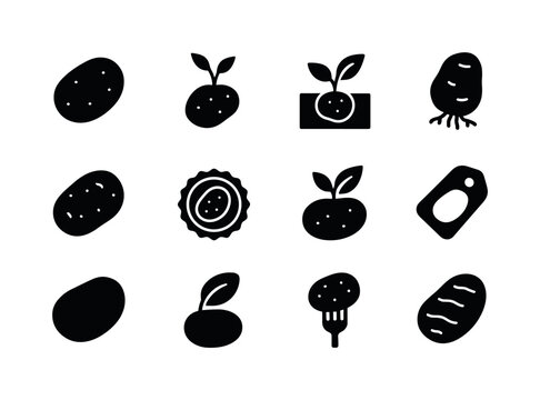 Potato Icon Set. Potato symbols. Solid icon set of potato symbols: tuber icon, sprout mark, earth-grown symbol, root shape, rustic potato, veggie badge, nature