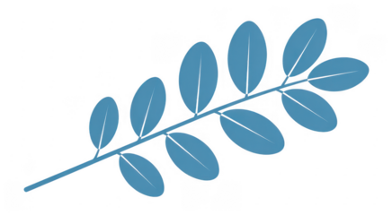 Blue branch with oval leaves leafy isolated on a transparent background