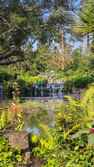 Picturesque beautiful natural scenic landscape of lush tropical garden with water lilies, green plant leaves, bushes and trees and serene waterfall at sunny hot daytime at tropical rainforest park