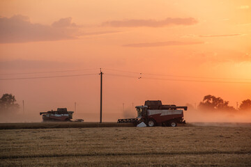 Fototapeta premium a combine harvester in a wheat field, a bright orange sunset in the sky