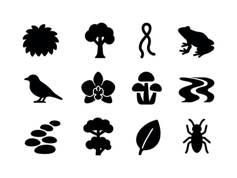 Rainforest Iconography. Deep rainforest. Solid icon set of deep rainforest: dense foliage, tall tree, vine loop, frog silhouette, bird silhouette, orchid