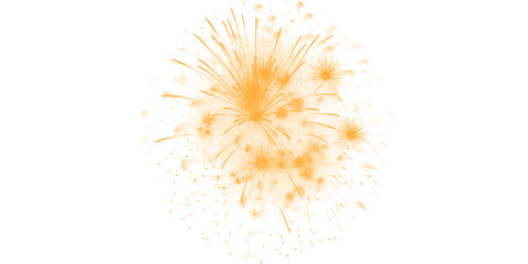 Obraz premium Golden orange fireworks burst brightly across the dark night sky a dazzling spectacle of light celebration joy and