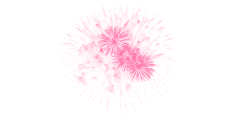 Stunning vibrant pink fireworks bursting against a dark night sky a dazzling pyrotechnic display for celebration joy and