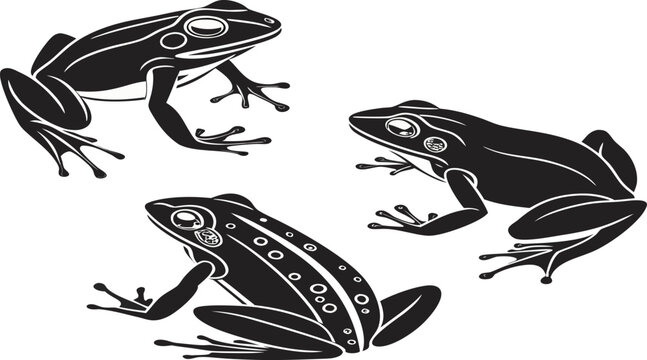 Black and White Tropical Frog Silhouette Vector 