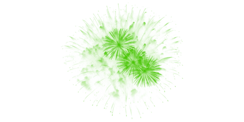 Vibrant green fireworks burst spectacularly in the dark night sky illuminating grand celebrations festive events and