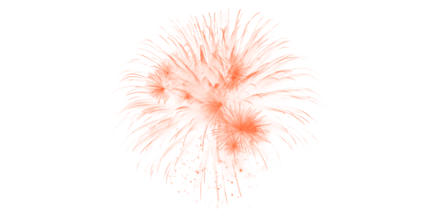 Vibrant orange fireworks burst spectacularly in the dark night sky a dazzling celebration of light joy and festive