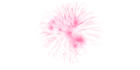 Vibrant pink fireworks illuminate the dark night sky celebrating a joyous event with spectacular explosive bursts of