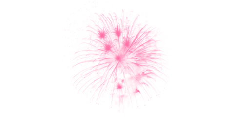 Vibrant pink fireworks bursting across the dark night sky a festive pyrotechnic display for joyous celebrations event