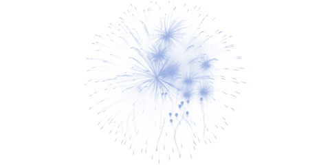 Vibrant Blue Fireworks Exploding in Night Sky Celebration Display Spectacle Holiday Event New Year s Magic Festive