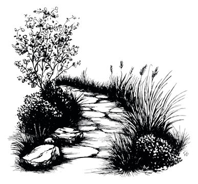 Hand drawn line art illustration of a garden path depicting a winding stone walkway surrounded by lush plants for landscaping design