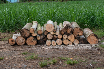 Stacks of chopped wood, logs, construction wood and furniture materials