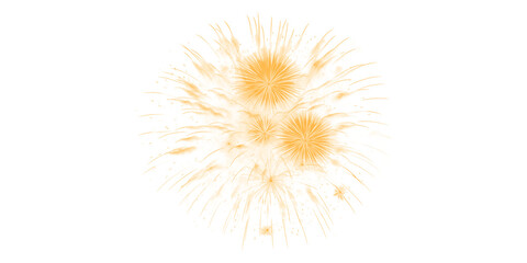 Obraz premium Golden fireworks burst magnificently illuminating the dark night sky a dazzling spectacle celebrating pure joy triumph