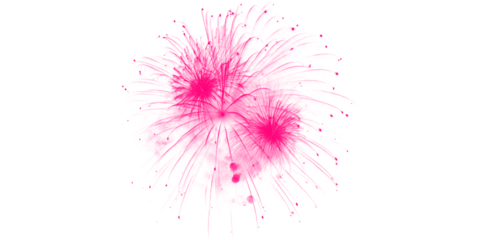 Vibrant pink fireworks exploding brightly in the dark night Festive celebration display grand spectacular light show