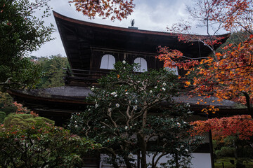 京都府銀閣寺秋息づく