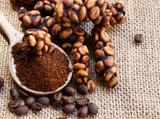 Fototapeta premium Luwak coffee beans are a rare and expensive delicacy