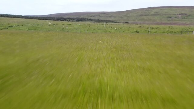 Drone shot of a Hebridean croft on the Isle of Lewis.