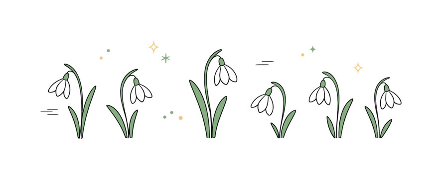 Elegant Snowdrop Vectors. Snowdrop Flower Vectors. Minimal floral composition with single snowdrop blossoms spaced evenly across the scene. Quiet and elegant