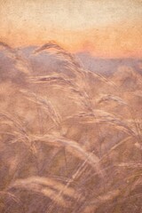Abstract summer nature background. Vibrant abstract landscape with soft colors and textured grass at sunset.