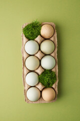 farmer's organic eggs on green background