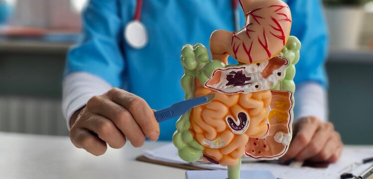 Doctor scalpel over an anatomical model of human stomach. surgical treatment of stomach diseases and procedures concept