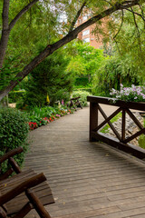 A wooden path running along a pond in a summer park