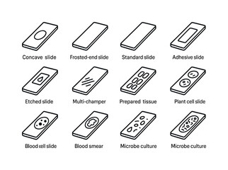 Microscope Slide Icons. Types of Microscope Slides. Line icon set of Types of Microscope Slides: concave slide, frosted-end slide, standard slide, adhesive