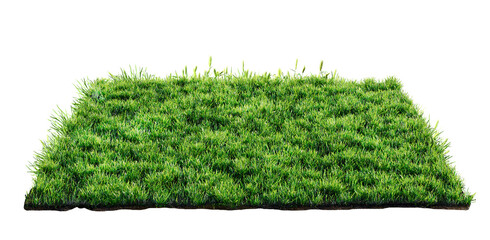 green grass turf isolated on transparent background , 3D illustration