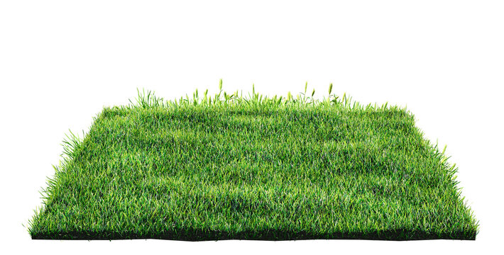 green grass turf isolated on white background , 3D illustration