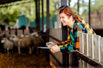 Male and female farmers working together on a sheep farm.