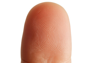 Close-up of a human fingerprint isolated on a transparent background