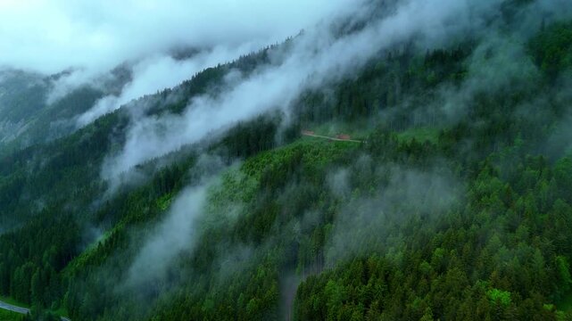 Foggy forest mountain in Austria with small road and dense green vegetation