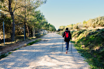 Fototapeta premium randonnée en garrigue Nîmoise