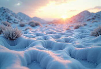 Polygonal Frost Patterns Intricately Appearing on Untamed Ground Amidst Unique Geometric Shapes