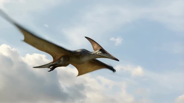 Large prehistoric Pteranodon with leathery brown wings and sharp beak glides gracefully through a bright sky filled with soft white clouds.