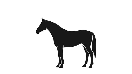 Obraz premium Elegant black horse silhouette vector illustration.