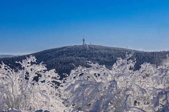 Winter Horizon Panorama &ndash; View of a distant mountain peak KL&Iacute;NOVEC through snow-covered branches