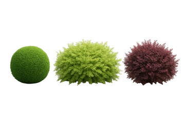 Collection of diverse garden bushes and shrubs in varying shapes and colors isolated on transparent background