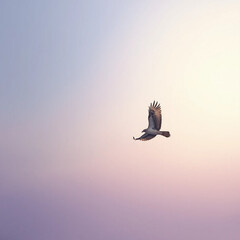 White Seagull Gliding Gracefully Through a Soft Sunset Sky