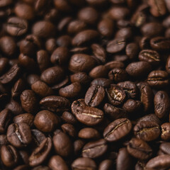 Fototapeta premium Roasted coffee beans creating a rich texture background, producing aromatic coffee and caffeinated beverage
